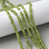 Natural TaiWan Jade Beads Strands G-NH0042-B01-01-1