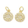 Brass Micro Pave Clear Cubic Zirconia Charms X-ZIRC-L091-079G-2