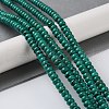 Synthetic Turquoise Beads Strands G-Q088-B01-01-2