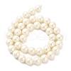 Shell Pearl Beads Strands BSHE-XCP0001-33-2
