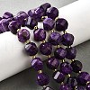 Natural Sesame Jasper Dyed Beads Strands G-U023-A01-03-1