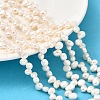 Natural Cultured Freshwater Pearl Beads Strands PEAR-I007-03B-02A-1