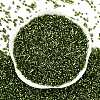 Baking Paint Silver Lined Glass Seed Beads SEED-H003-09D-3