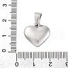 304 Stainless Steel Pendants STAS-P278-01P-P-1-3