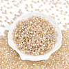 Glass Seed Beads SEED-N007-01I-2