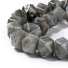 Natural Labradorite Beads Strands G-I194-46-2