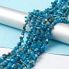 Natural Apatite Beads Strands G-F666-01B-03-2