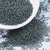 MIYUKI Round Rocailles Beads SEED-G007-RR0178-4