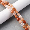 Natural Red Botswana Agate Beads Strands G-C179-A45-03-1