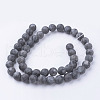 Natural Black Larvikite Bead Strands G-G735-57F-8mm-2