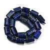 Natural Lapis Lazuli Dyed Beads Strands G-G162-D15-02-3