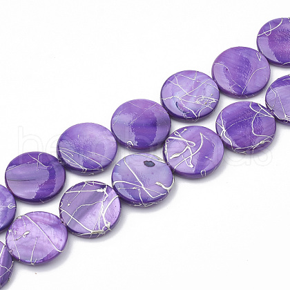 Freshwater Shell Beads Strands SHEL-N020-2-02D-1