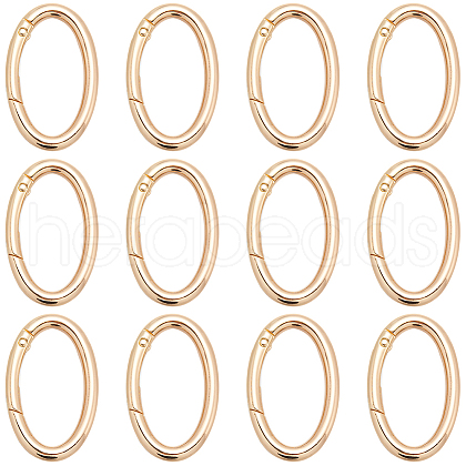 SUNNYCLUE 20Pcs Alloy Spring Gate Rings PALLOY-SC0010-53B-G-1