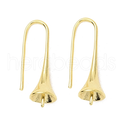 Rack Plating Brass Earring Hooks KK-F839-030B-G-1