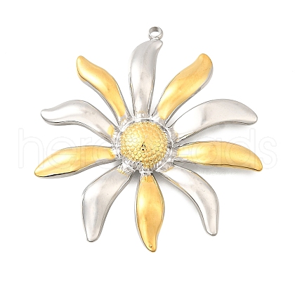 304 Stainless Steel Pendants STAS-M123-03B-PG-1
