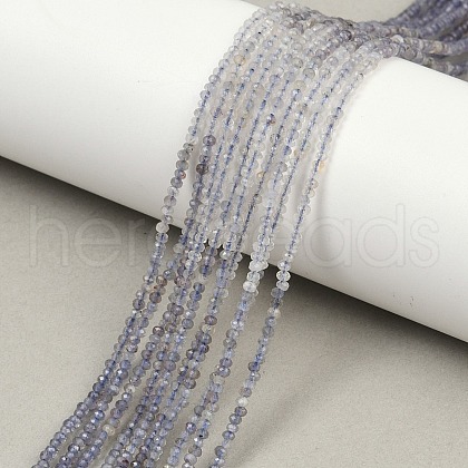Natural Iolite Beads Strands G-F789-02-1