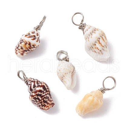 Natural Shell Pendants PALLOY-JF01164-01-1