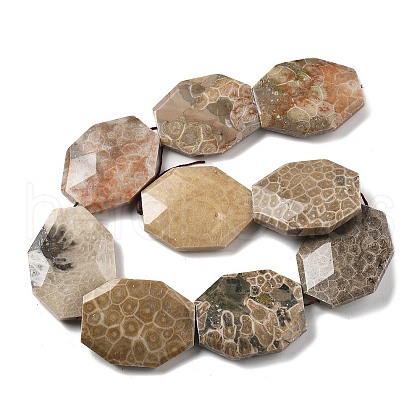 Natural Fossil Coral Beads Strands G-F477-07-44x34mm-1