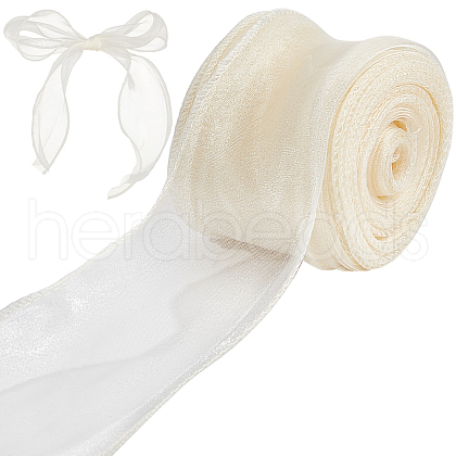 Polyester Organza Ribbons SRIB-WH20020-003B-01-1