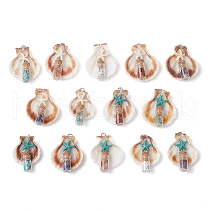 14Pcs 14 Styles Natural Scallop Shell Beads with Glass Jar Glass Bottles Stone Pendants PALLOY-JF03564-1