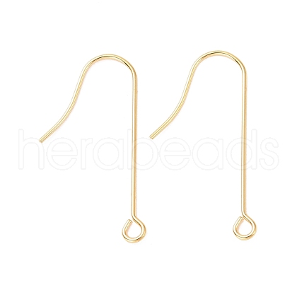 316 Surgical Stainless Steel Earring Hooks STAS-E027-02B-G-1
