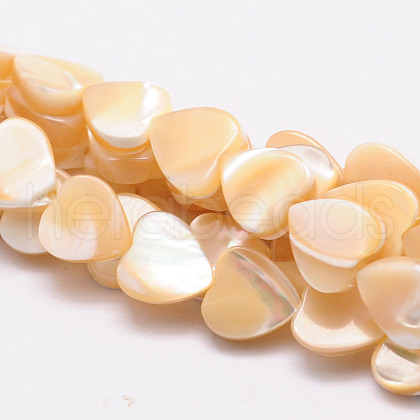 Natural Sea Shell Heart Bead Strands SSHEL-M014-17-1