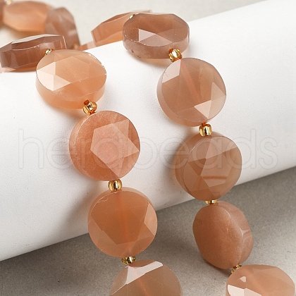 Natural Sunstone Beads Strands G-C116-A169-03-1