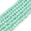 Opaque Solid Color Glass Beads Strands EGLA-T021-02D-1