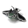 Tibetan Style Alloy Insect Brooches JEWB-A021-03AS-07-2