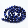 Natural Tiger Eye Beads Strands G-F561-10mm-B02-2