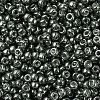 MIYUKI Round Rocailles Beads X-SEED-G007-RR1087-3