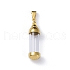 304 Stainless Steel Big Pendants STAS-D097-01C-G-1