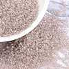 MIYUKI Round Rocailles Beads SEED-X0056-RR3502-1