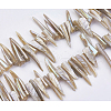 Natural Shell Beads Strands BSHE-P026-25-2