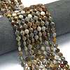Natural Gobi Agate Beads Strands G-K389-B72-01-1