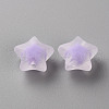 Transparent Acrylic Beads TACR-S152-02C-SS2114-2