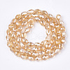 Electroplate Glass Beads Strands EGLA-T013-05J-2