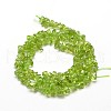 Natural Olive Quartz Chip Beads Strands X-G-E271-89-2