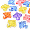 Transparent Acrylic Pendants TACR-T024-01B-1