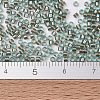 MIYUKI Delica Beads X-SEED-J020-DB2379-4