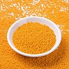 MIYUKI Round Rocailles Beads X-SEED-G007-RR4453-2