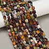 Natural Alashan Agate Beads Strands G-Q060-D19-01-1