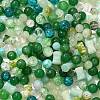 Mixed Style Glass Beads X1-GLAA-XCP0012-02K-1
