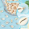   100Pcs Natural Cowrie Shell Pendants FIND-PH0021-26-4