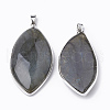 Natural Labradorite Pendants G-T104-14-2