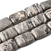 Natural Map Stone Beads Strands G-S386-A13-2