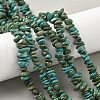 Dyed Natural Magnesite Beads Strands G-M448-D01-01-1
