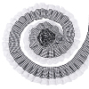 Tartan Polyester Pleated Lace Ribbon OCOR-WH0100-23-1