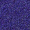 MIYUKI Round Rocailles Beads SEED-G007-RR0484-1