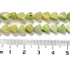 Natural Dolomite Beads Strands G-F765-H04-01-5